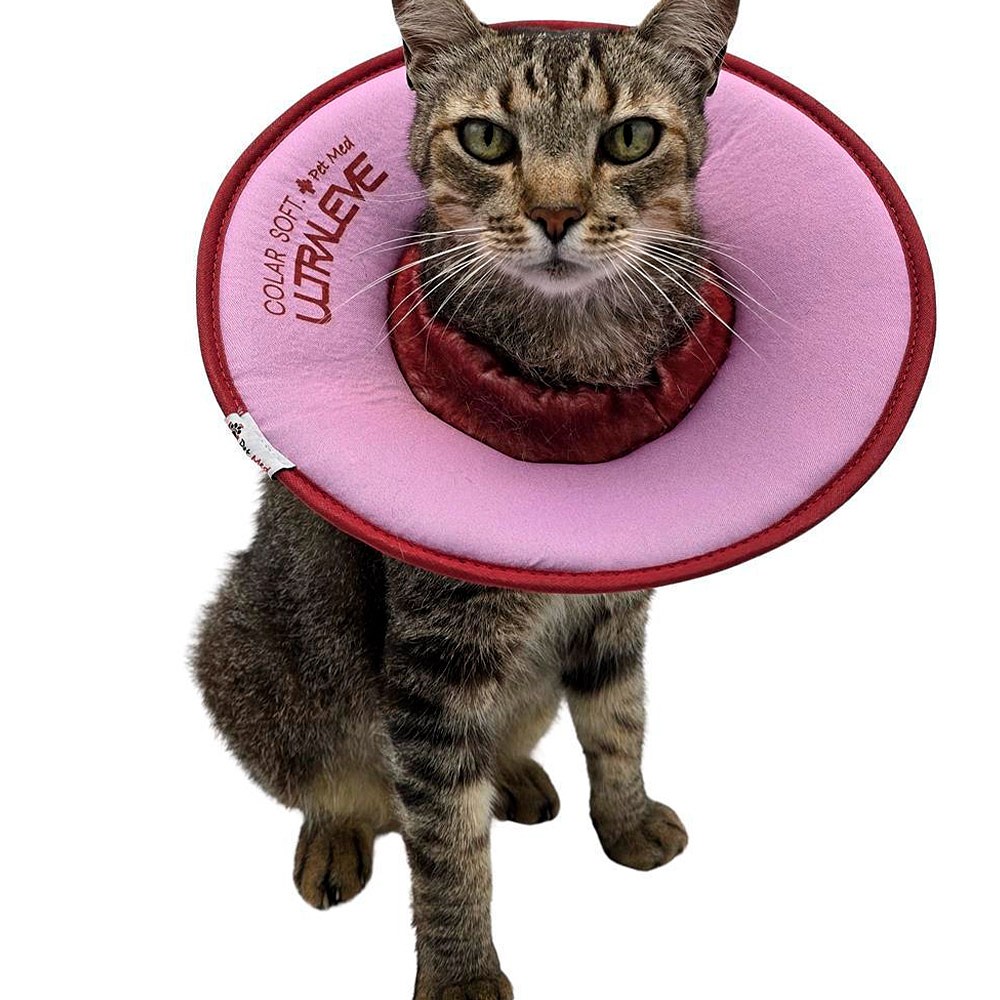 Colar Elisabetano Pet Med Ultraleve Soft Rosa e Bordô para Gatos