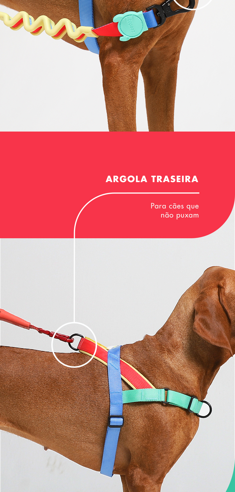 Peitoral Antipuxão SofterWalk para Cachorros Mellow