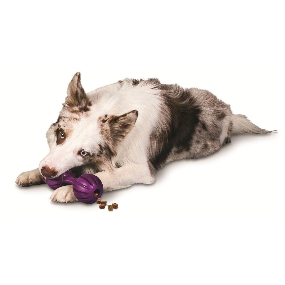Brinquedo Amicus para Cães Waggle