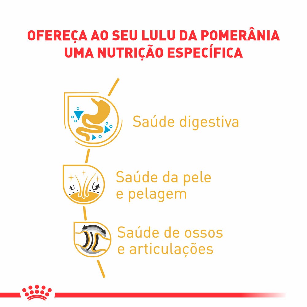 Ração Royal Canin para Cães Adultos da Raça Lulu da Pomerânia