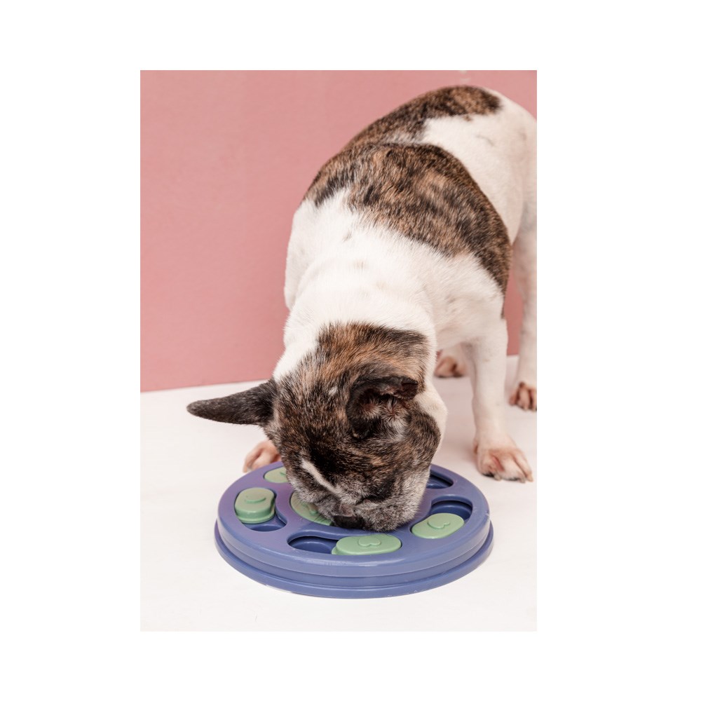 Brinquedo Oikos Labirinto Interativo para Cães e Gatos
