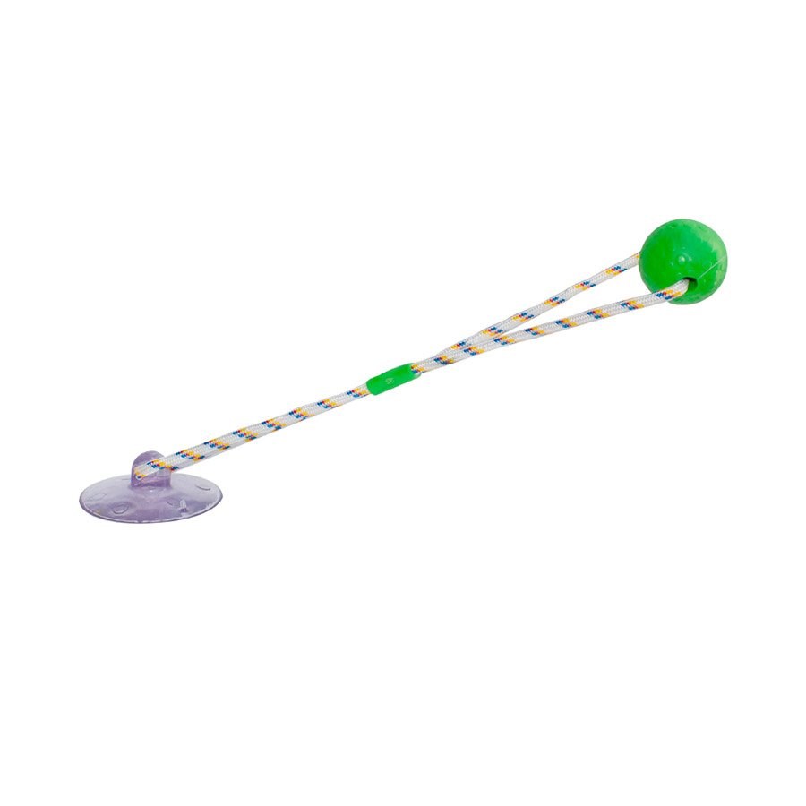 Brinquedo Truqys Push Ball Pet Verde