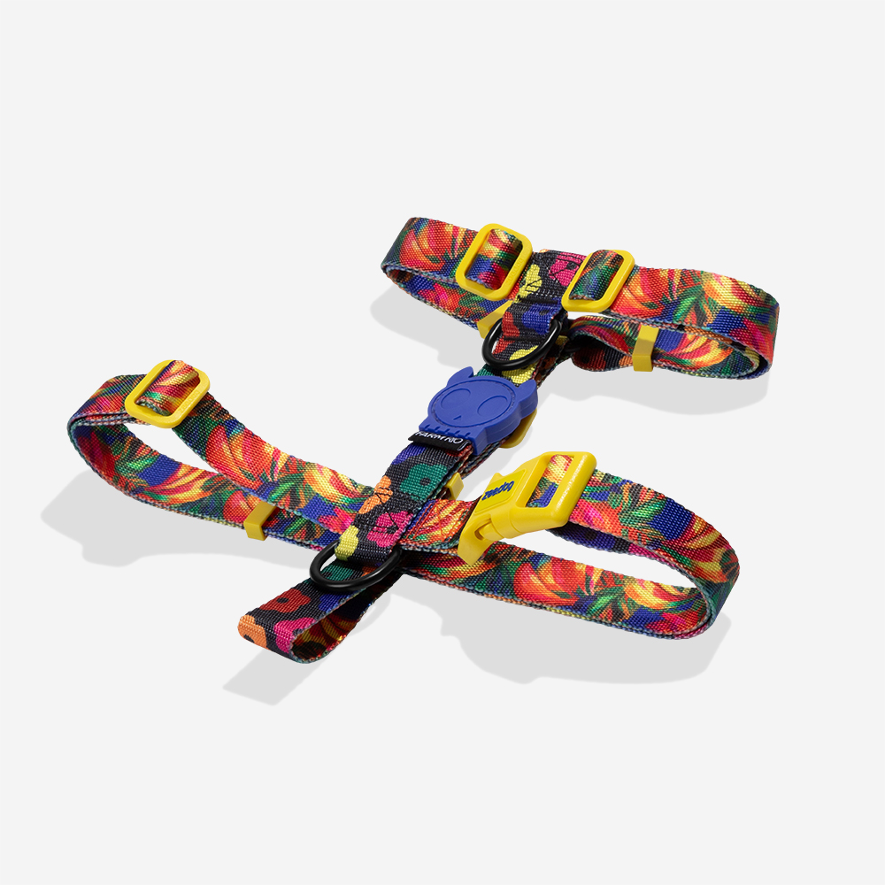 Peitoral para Cachorros H FARM Rio Samba | Imagem 2