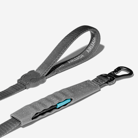 Guia para Cachorros Airleash Carbon 1M