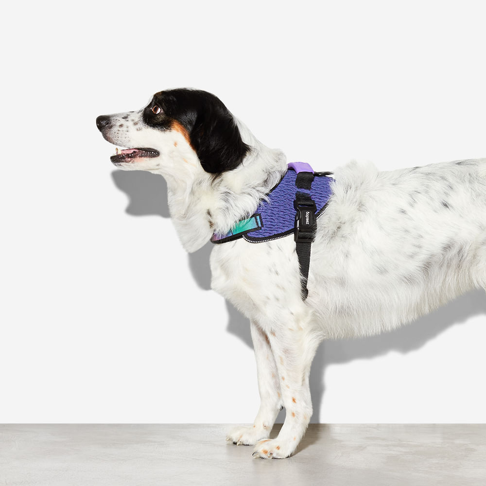 Peitoral para Cachorros FlyHarness Wicked | Imagem 5