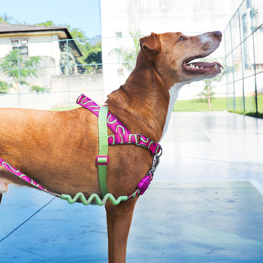 Peitoral Antipuxão SofterWalk para Cachorros H3D Jelly