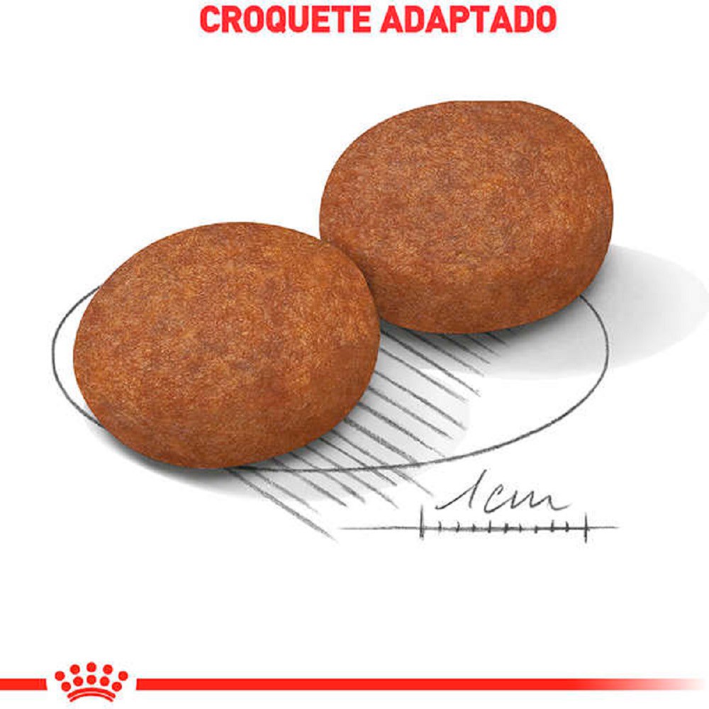 Ração Royal Canin para Cães Adultos Medium Adult 7+ 