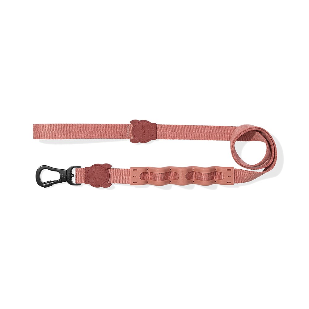 Guia com Amortecedor para Cachorros Canyon Naturals 