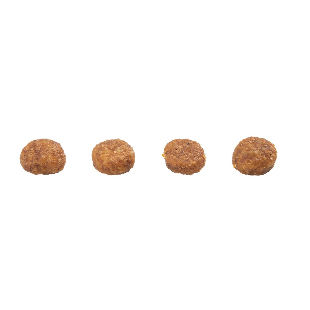 Ração GranPlus Gourmet para Gatos Filhotes sabor Salmão e Frango