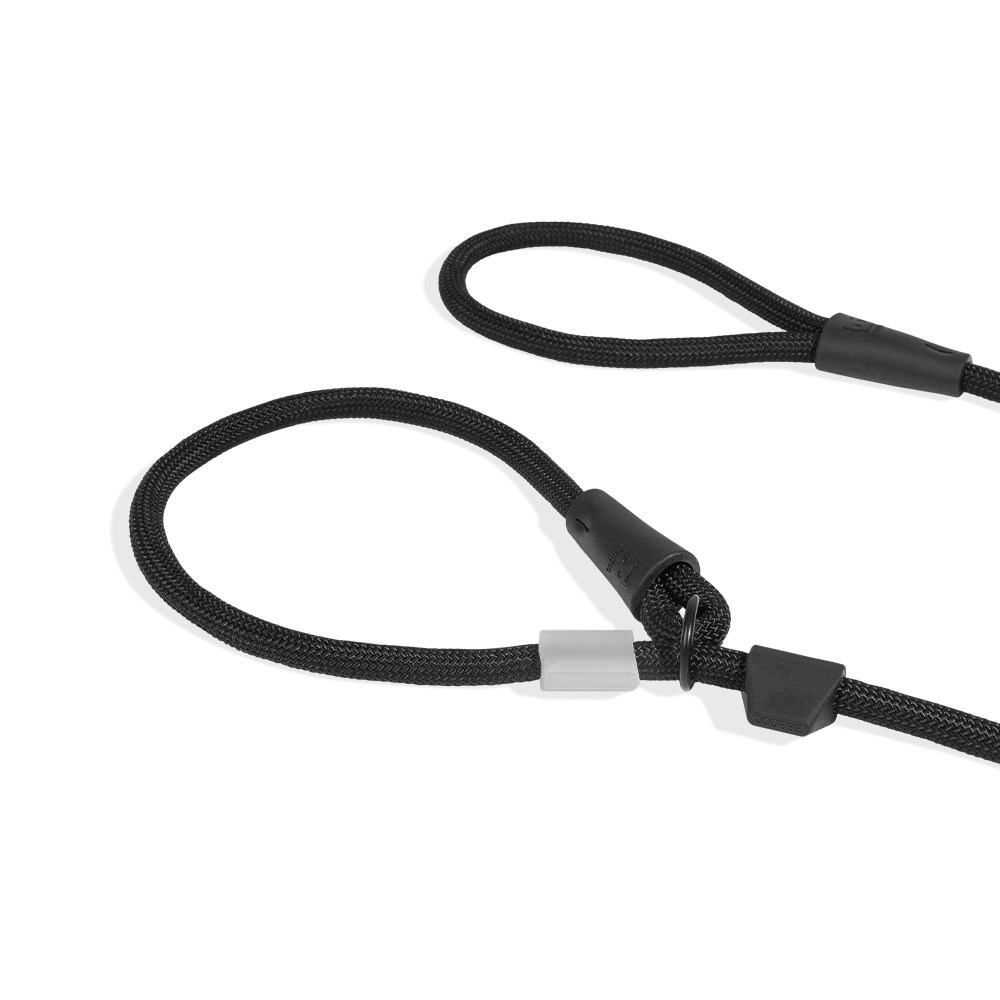 Guia Unificada para Cachorros Slip-N-Lock Gotham 