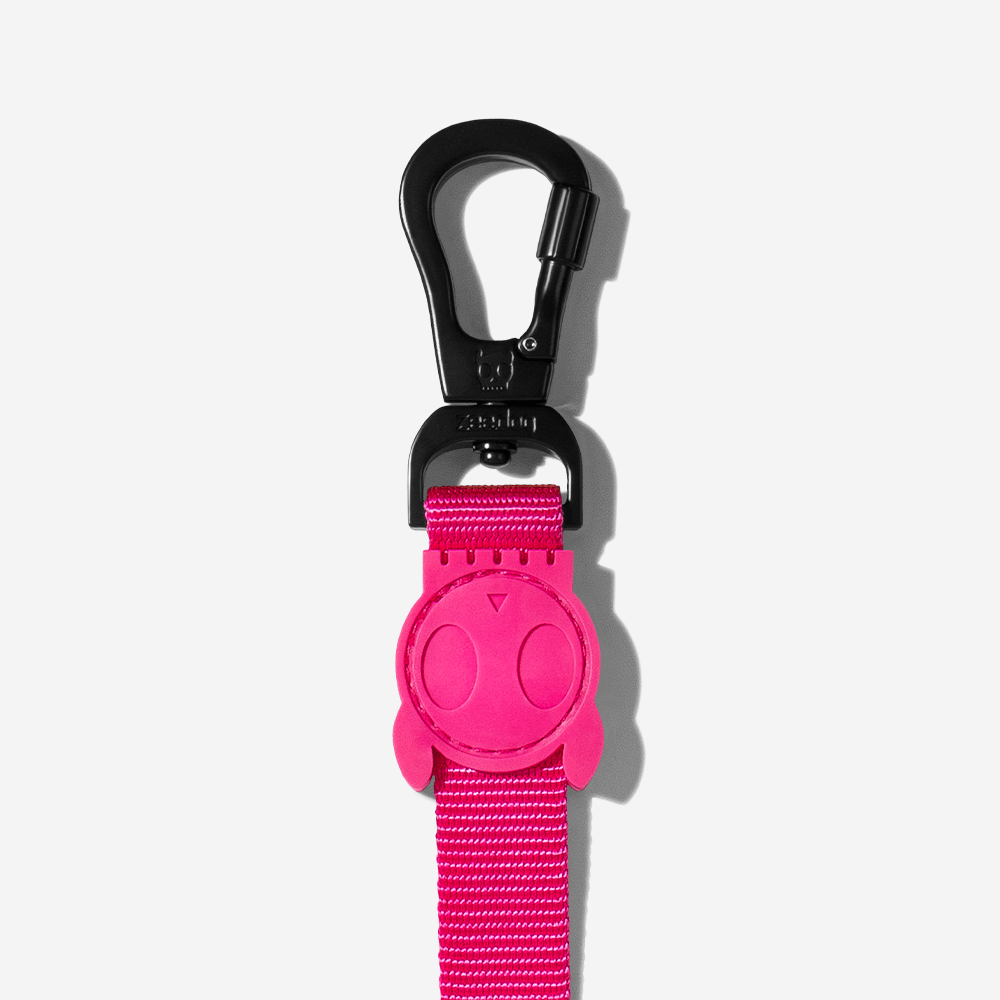 Guia para Cachorros Pink Led | Zee.Dog - Conectando Cachorros e