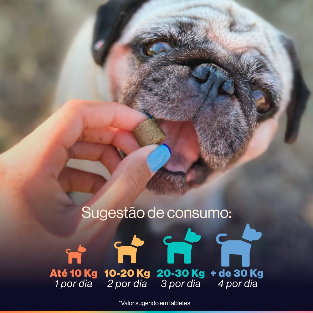 Suplemento Alimentar Buddy Nutrition Digestão & Flora Intestinal Sabor Carne Suína para Cães