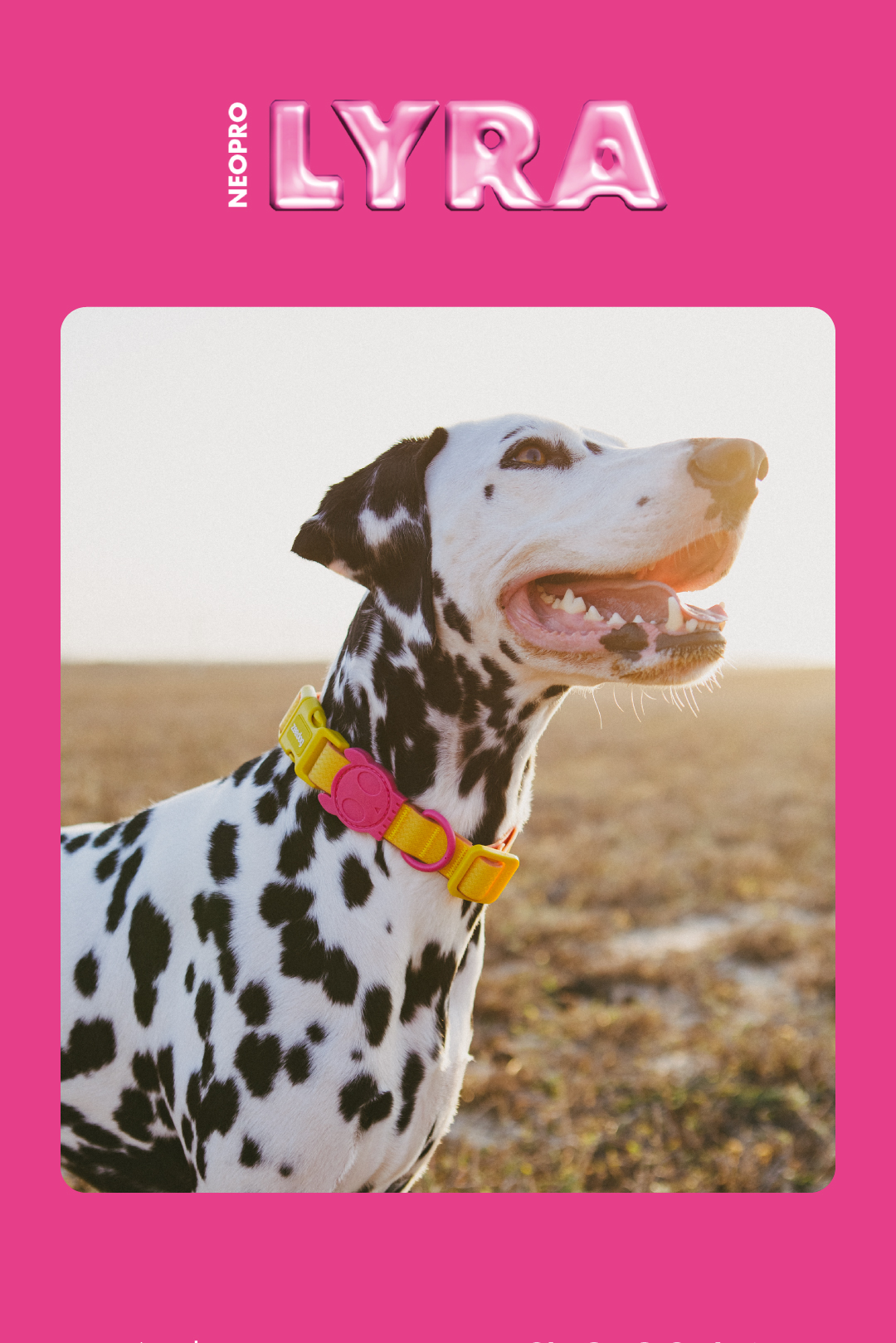 Coleira para Cachorros Neopro Lyra