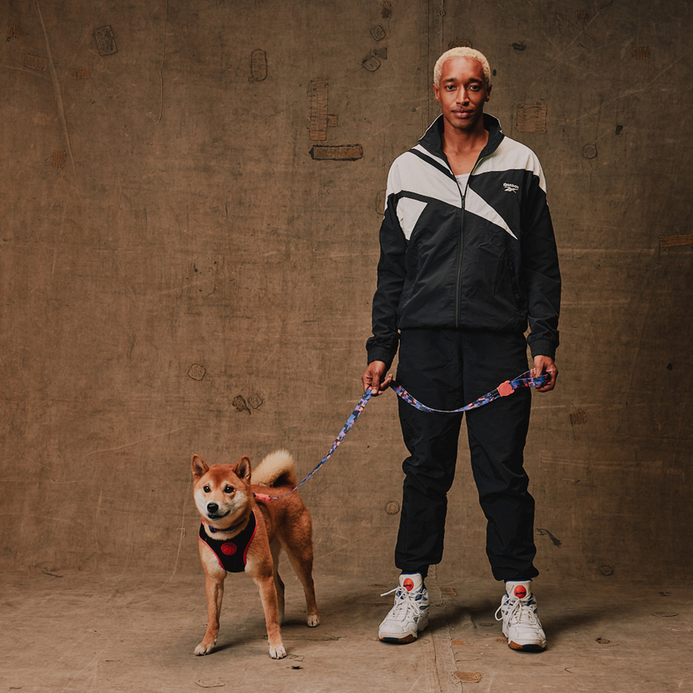 Peitoral para Cachorros Air Mesh Ajustável Reebok Court | Imagem 5