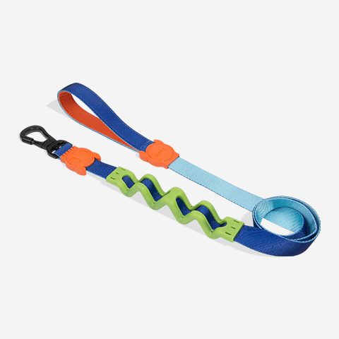 Guia com Amortecedor para Cachorros 2.0 Orbit G