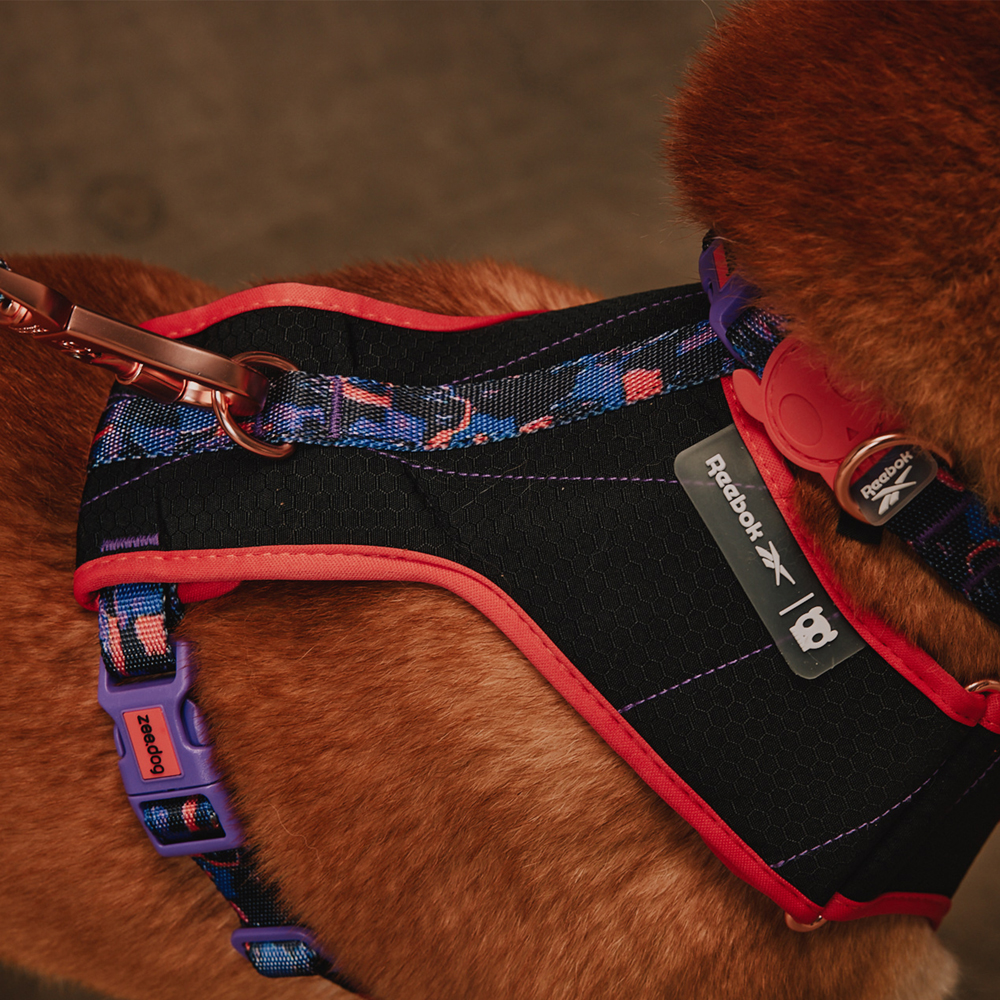 Peitoral para Cachorros Air Mesh Ajustável Reebok Court | Imagem 4