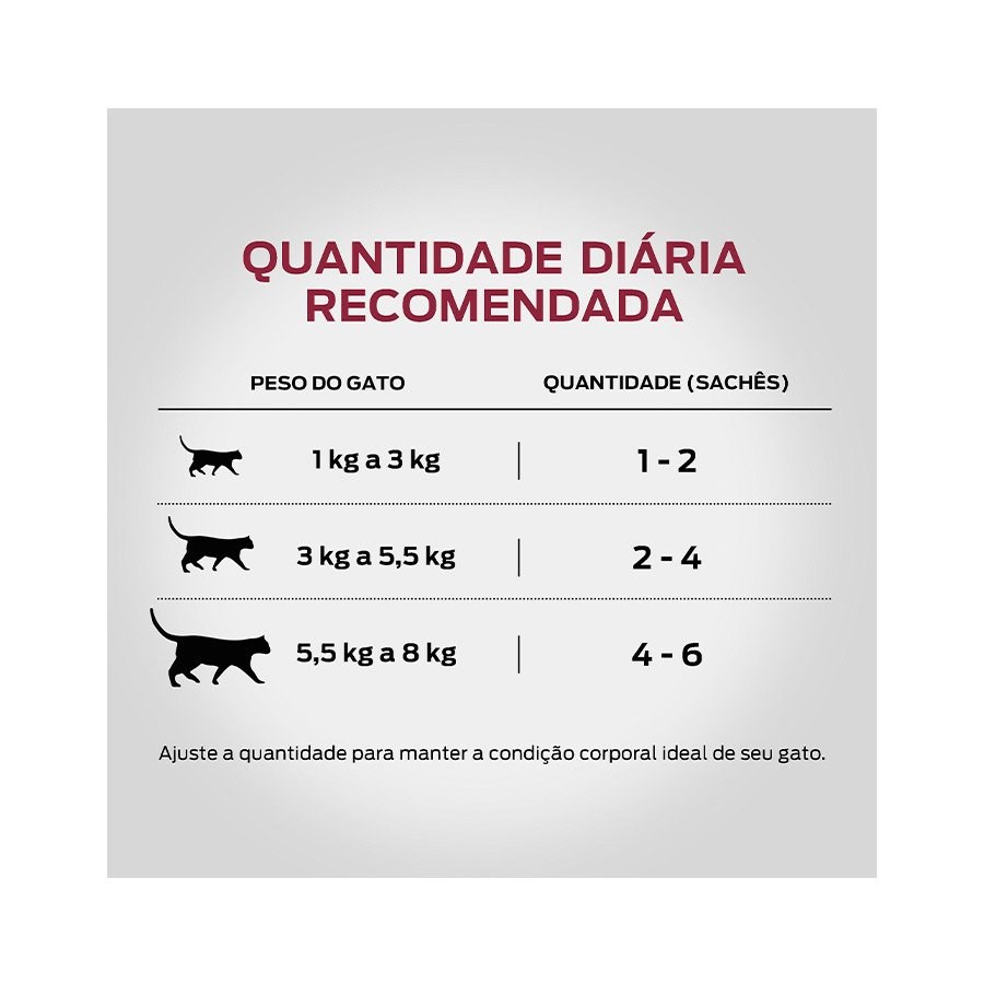 Ração Pro Plan Sachê Adult para Gatos Adultos sabor Frango ao Molho