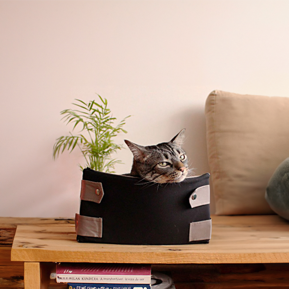 Cama Caixa Cansei de Ser Gato Preto com Cinza