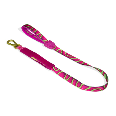 Guia para Cachorros Airleash H3D Jelly 1M