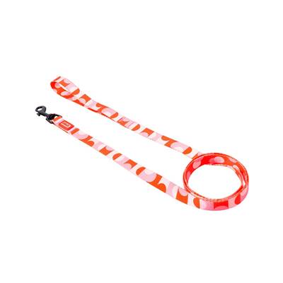 Guia Spike Confetti para Cães