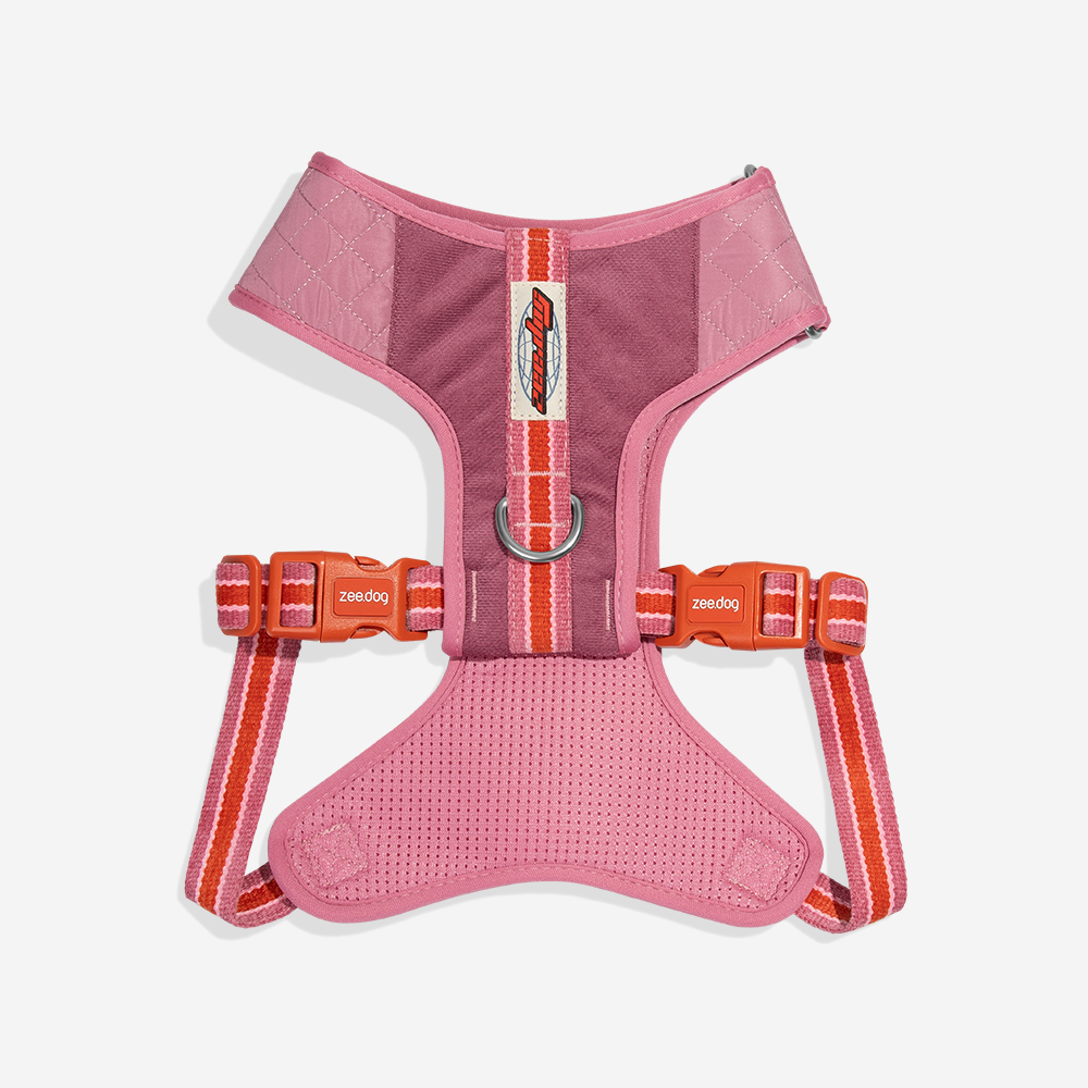 Peitoral para Cachorros Air Mesh Ajustável Velvet Vibes Courtney | Imagem 2