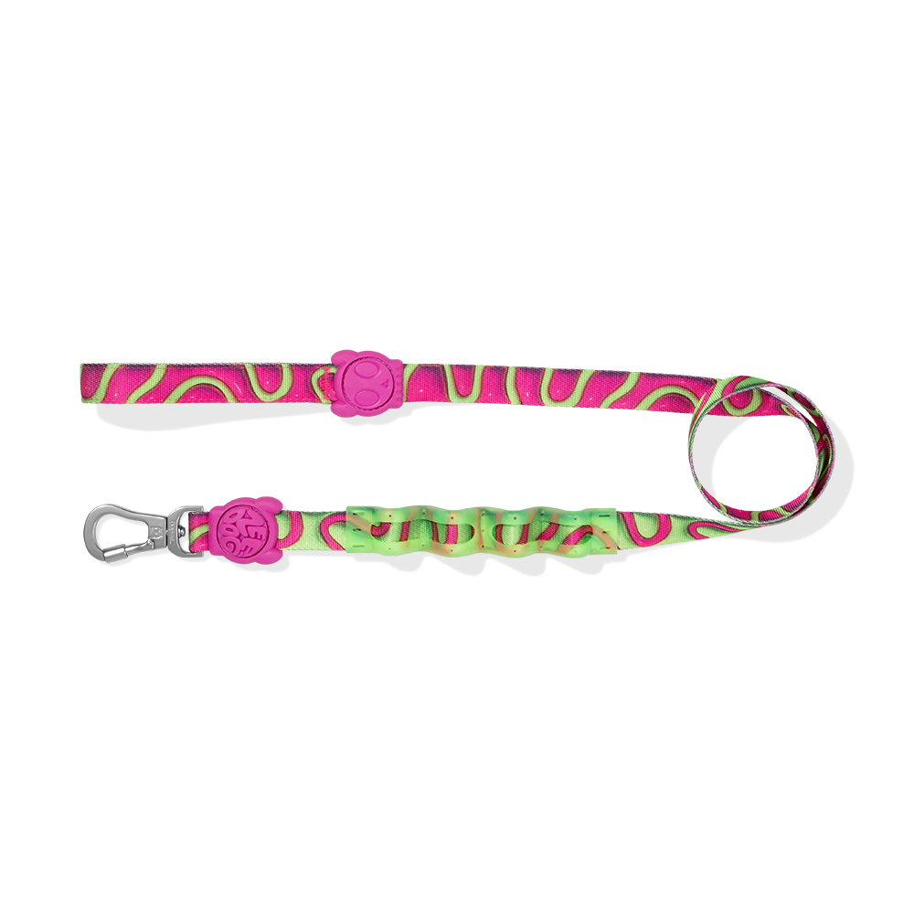 Guia com Amortecedor para Cachorros 2.0 H3D Jelly