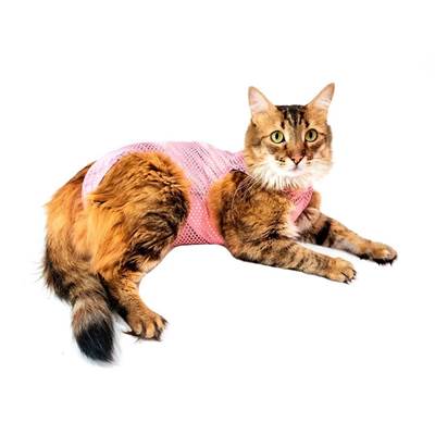 Roupa Cirúrgica Pet Med para Gatos Ultra Light Ball Rosa 3