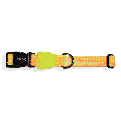 Coleira para Cachorros Fuse Bikr P