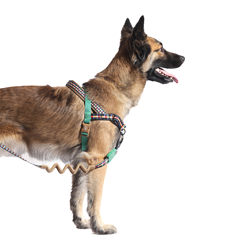 Peitoral Antipuxão SofterWalk para Cachorros Travis
