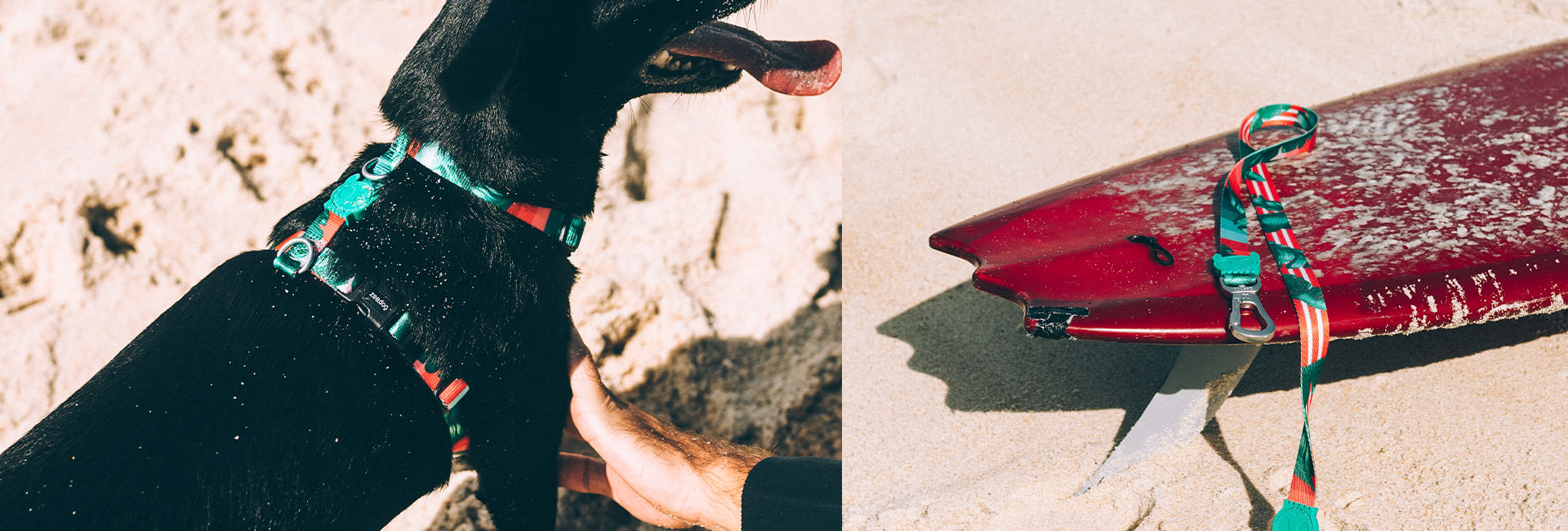 Peitoral para cachorros H Bali | Lifestyle Images