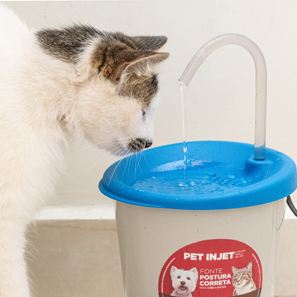 Fonte Pet Injet Postura Correta Azul para Cães e Gatos - Bivolt