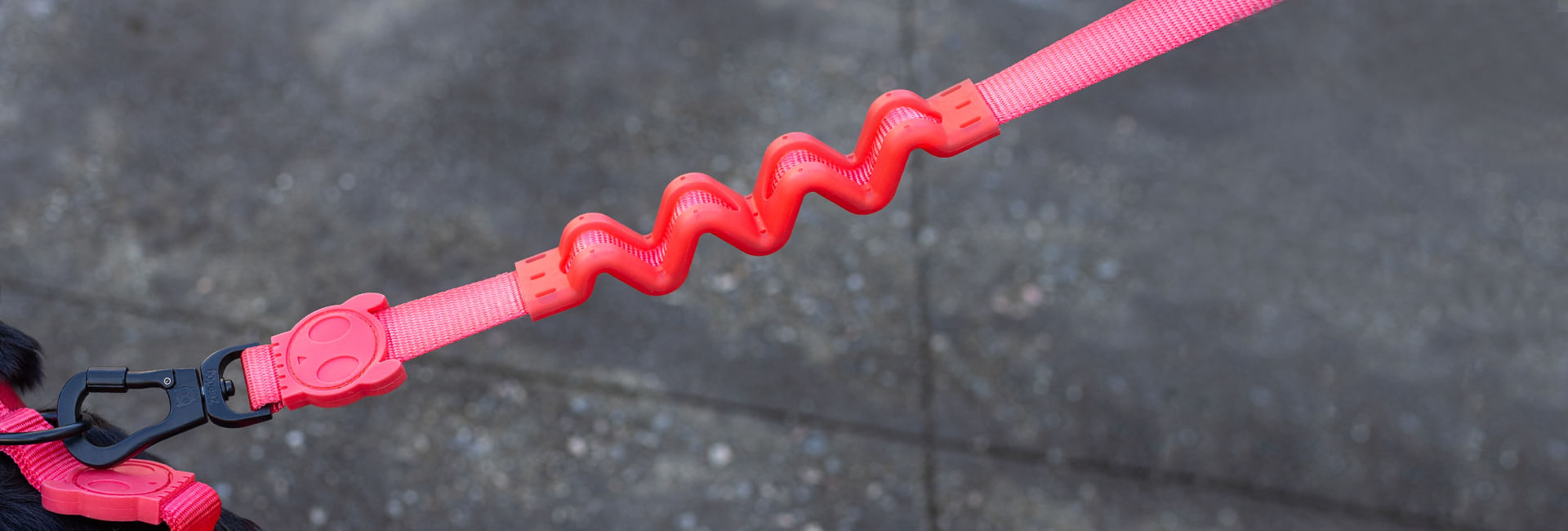 Guia com Amortecedor para Cachorros Neon Coral | Lifestyle Images