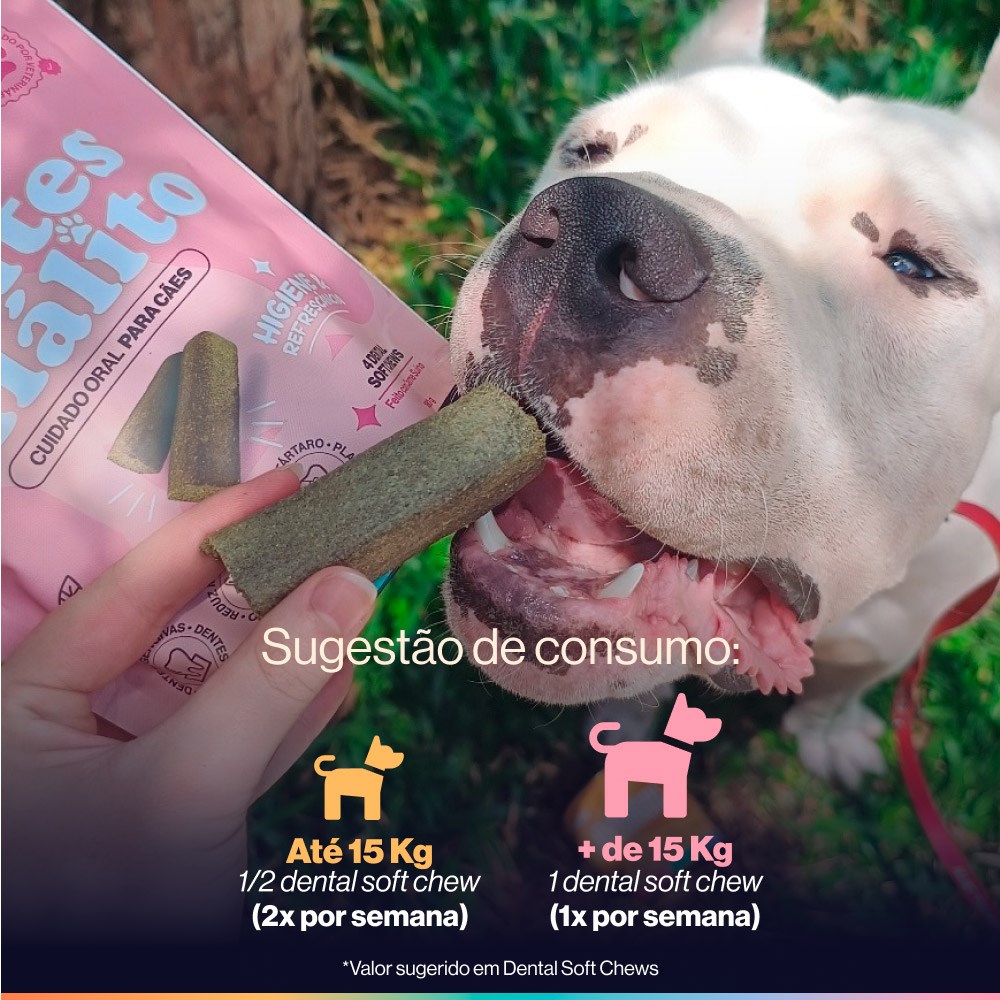 Snack Cuidado Oral Buddy Nutrition Dentes & Hálito Sabor Carne Suína para Cães