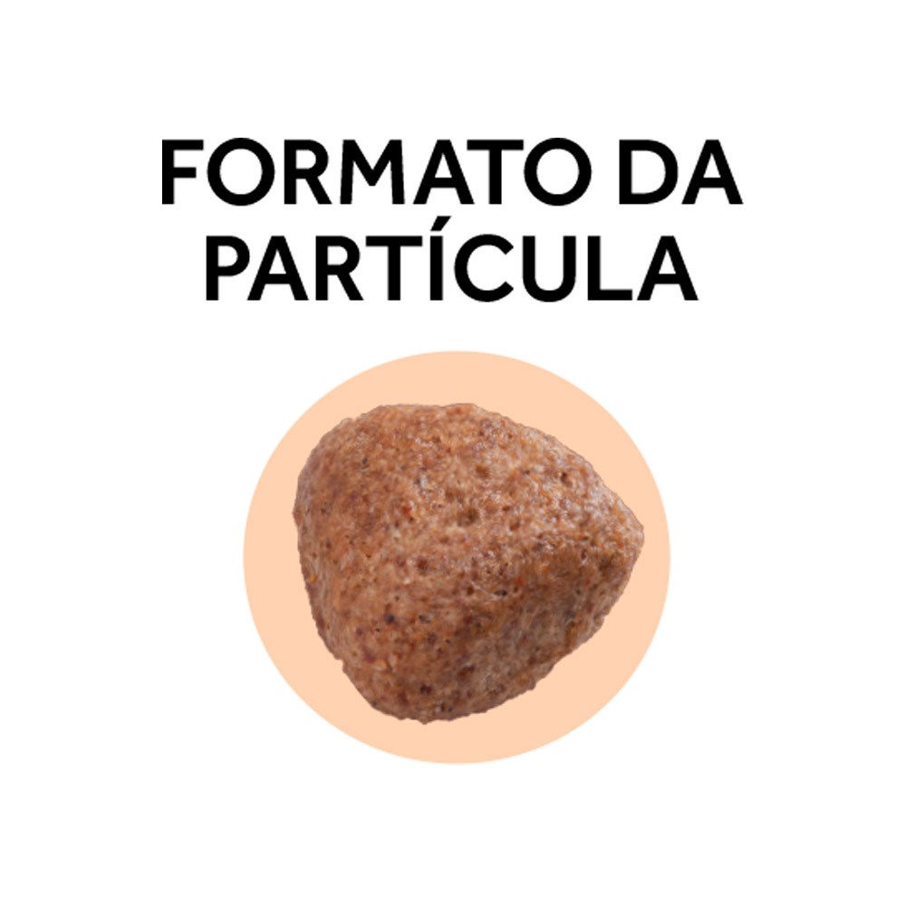 Ração Granplus Gourmet para Cães Adultos Raças Médias e Grandes sabor Salmão e Frango