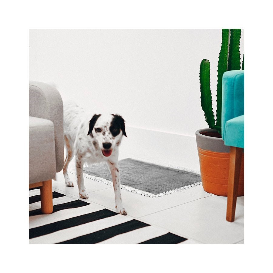 Tapete Higiênico Zee.Pad - Bamboo Japonês