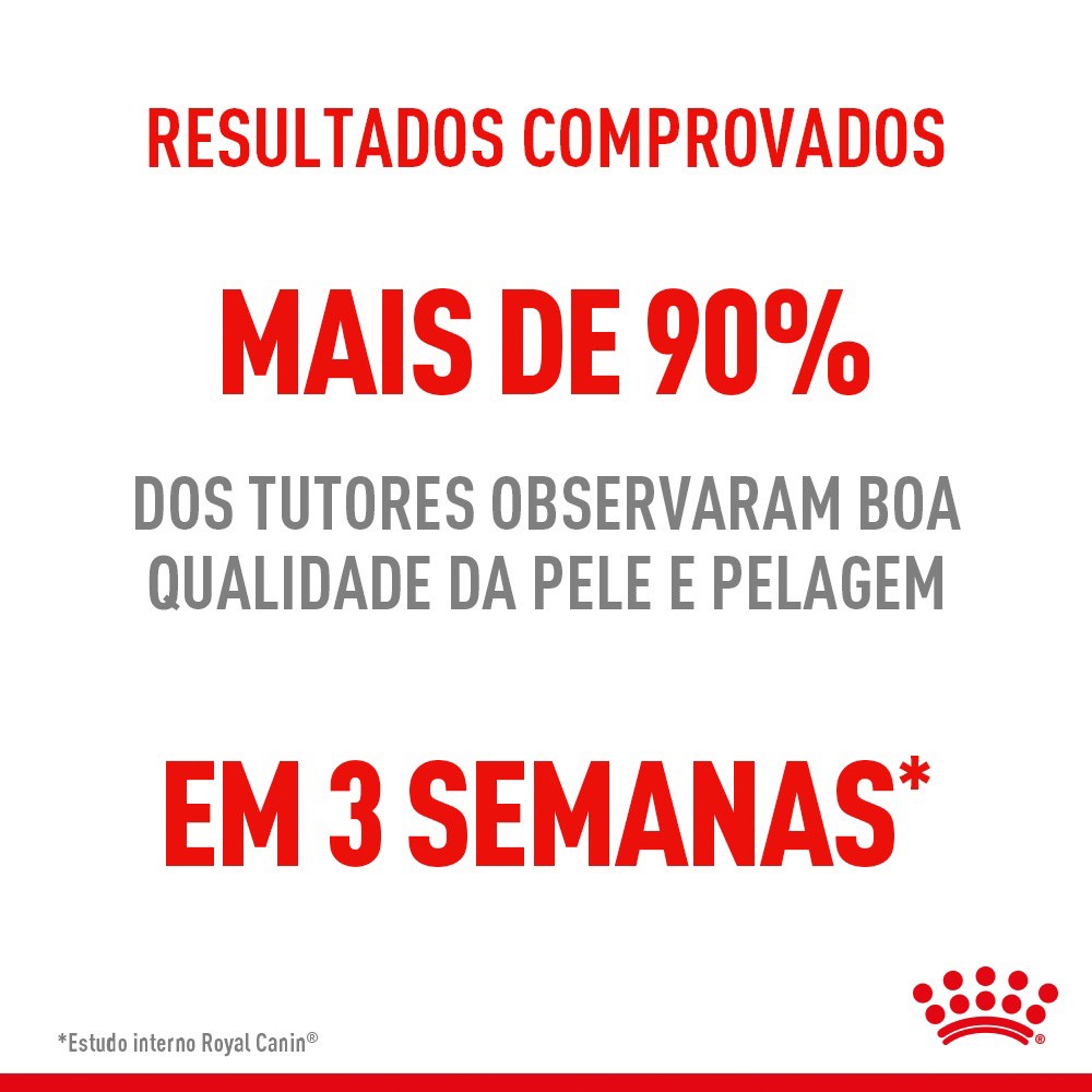 Ração Royal Canin Pele & Pelagem para Gatos Adultos