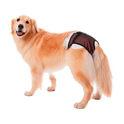 Roupa Protetora Petmed Higiênica para Fraldas e Cio Rosa 3