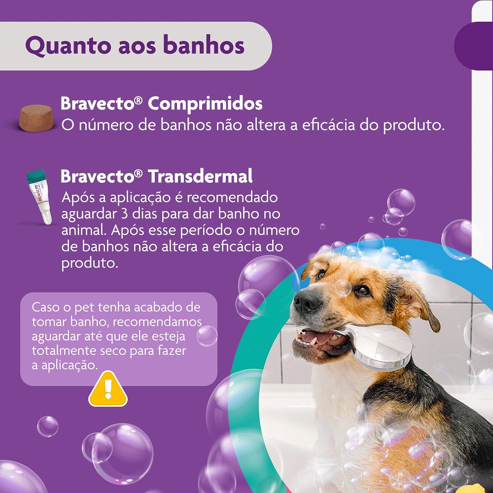 Antipulgas e Carrapatos Bravecto para Cães de 10kg a 20kg - 500mg