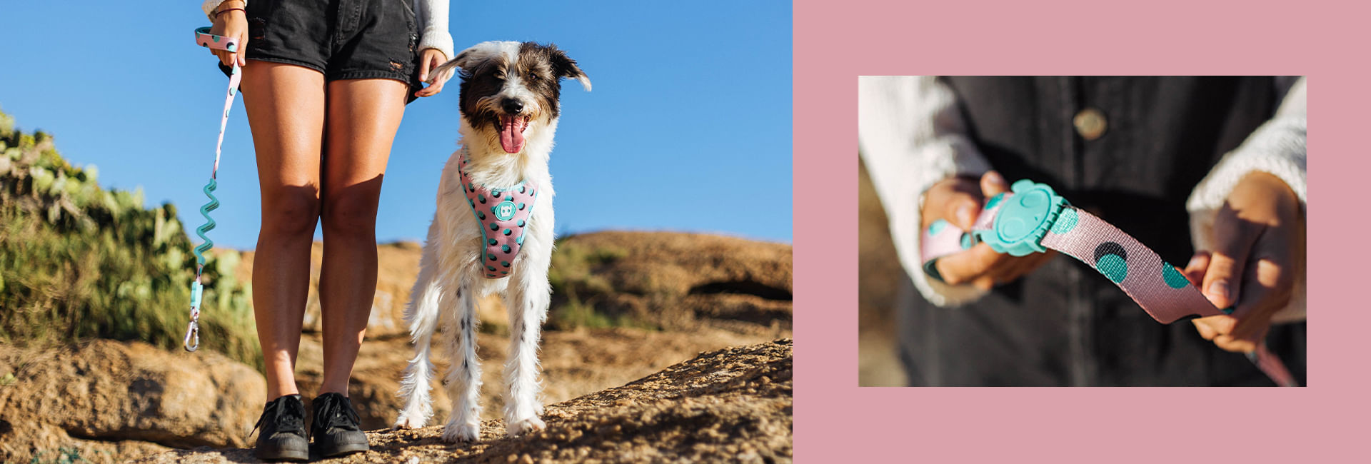 Peitoral para Cachorros H Polka | Lifestyle Images