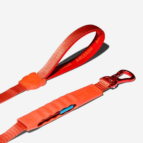 Guia para cachorros Airleash Crimson | Zee.Dog