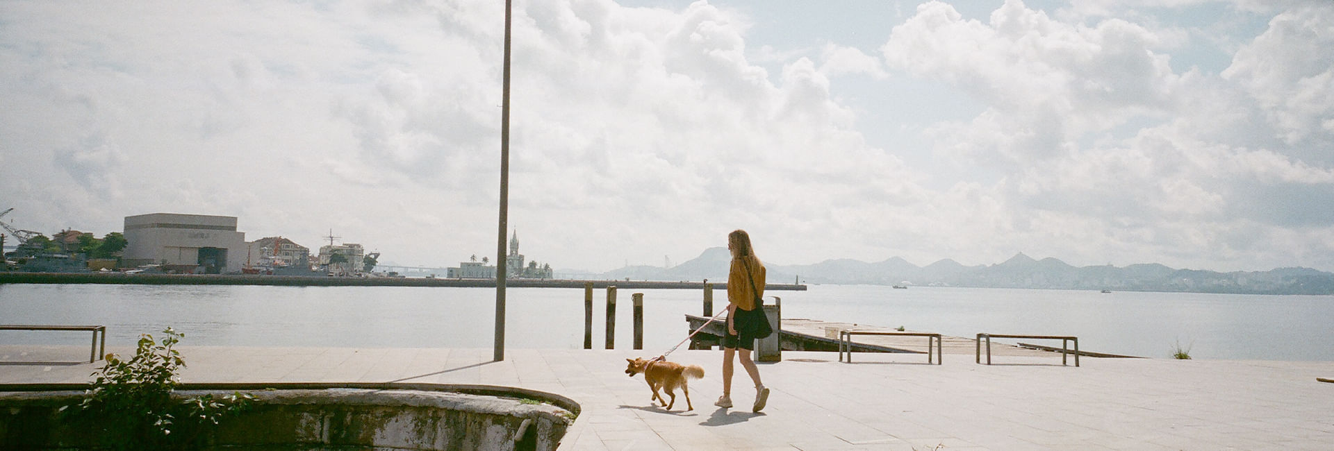 Peitoral para Cachorros H Columbia | Lifestyle Images