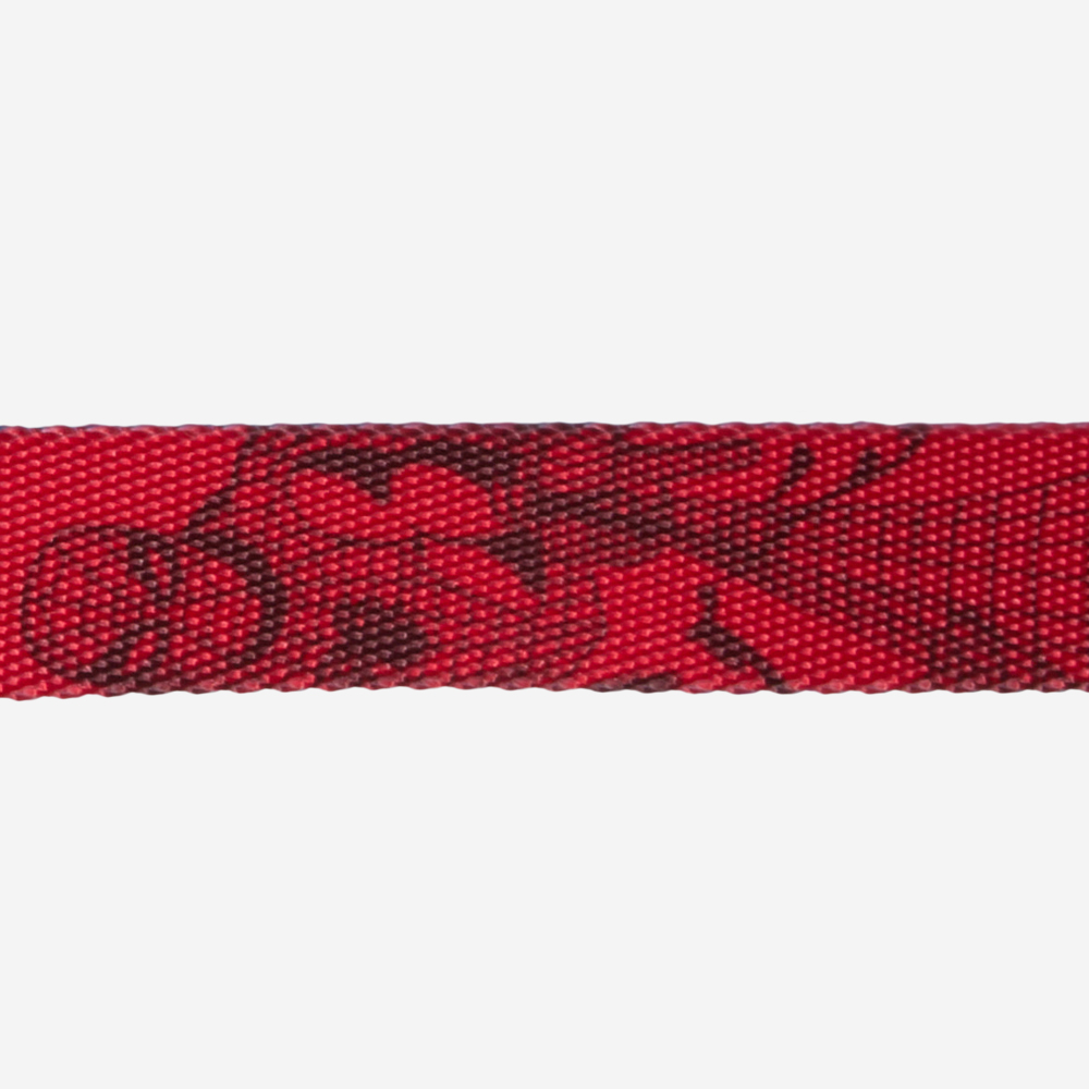 Coleira para Cachorros Marvel Homem Aranha | Imagem 3