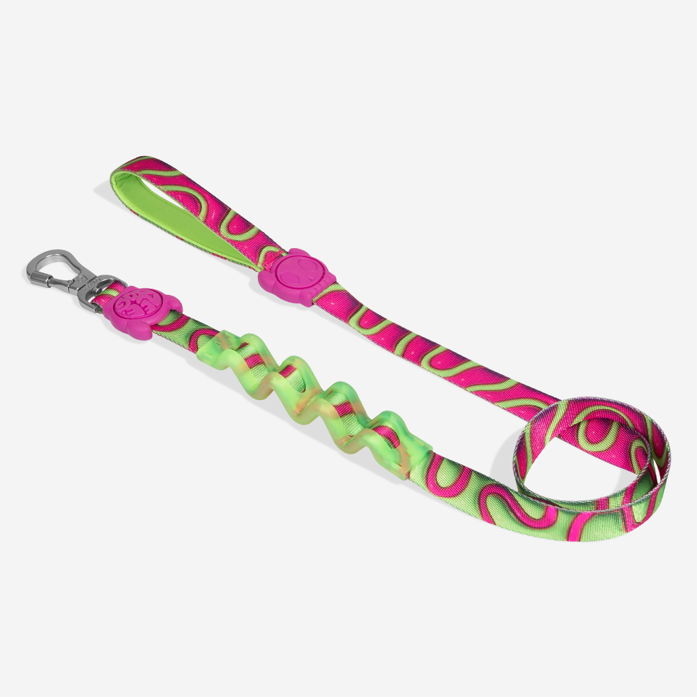 Guia com Amortecedor para Cachorros H3D Jelly | Imagem 0