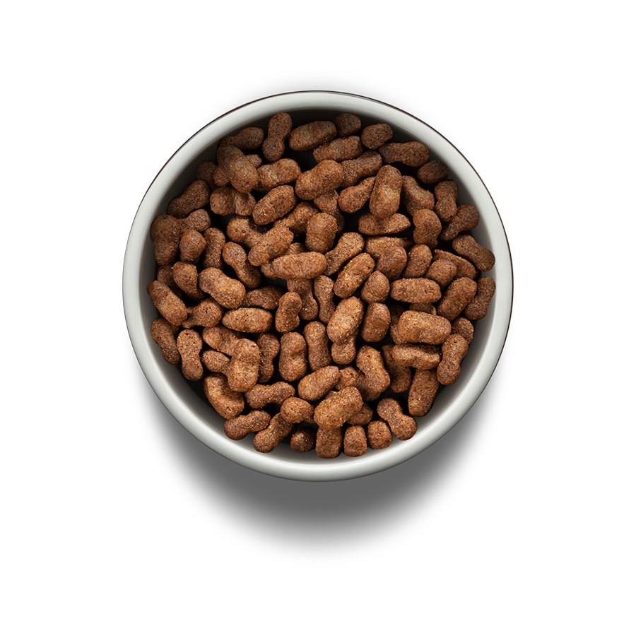 Ração Guabi Natural para Cães Adultos Porte Médio sabor Salmão & Cevada