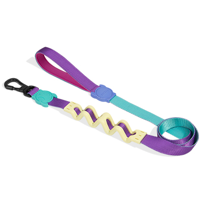 Guia com Amortecedor para Cachorros Shockwave P