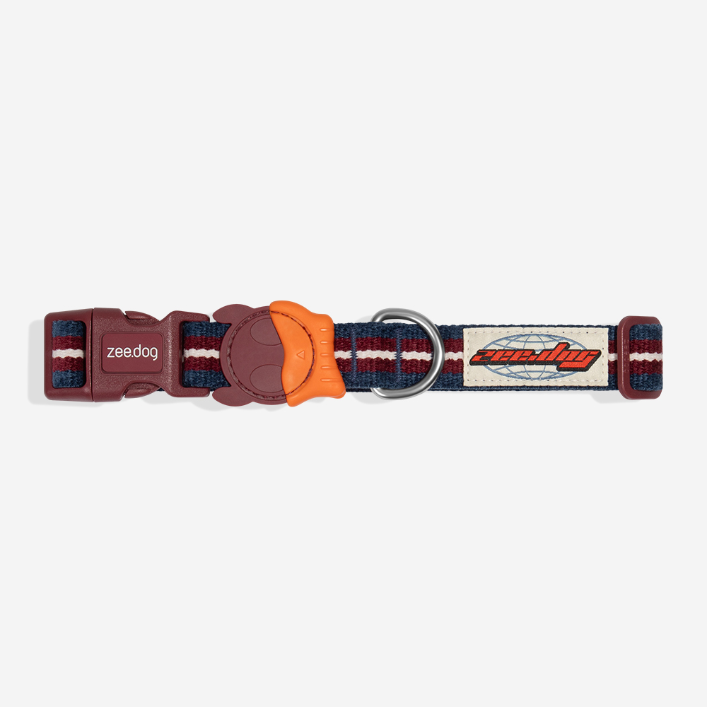 Coleira para Cachorros Velvet Vibes Dropout | Imagem 1