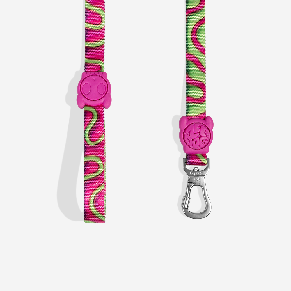 Guia para Cachorros H3D Jelly | Imagem 0