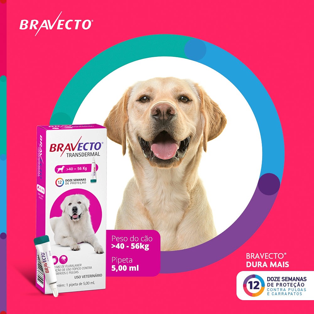 Antipulgas e Carrapatos Bravecto Transdermal para Cães de 40kg a 56kg - 1400mg