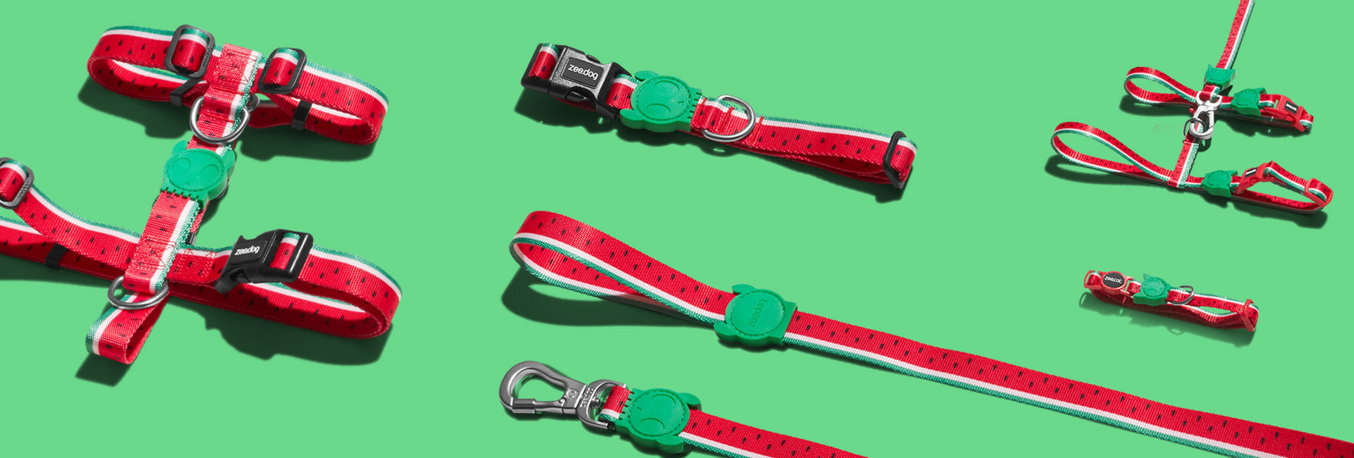 Coleira Zee.Cat Lola para Gatos | Lifestyle Images