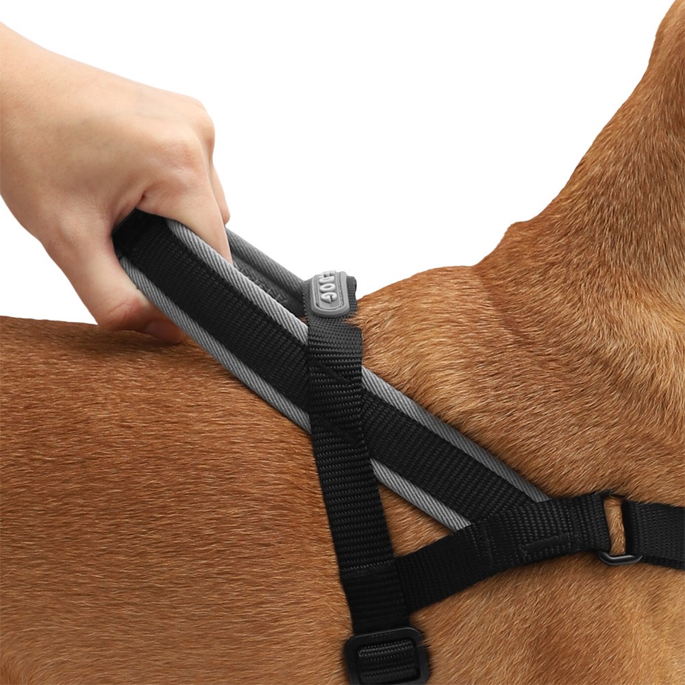 Peitoral Antipuxão SofterWalk para Cachorros Gotham
